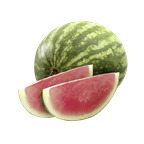 Wassermelonen Stück