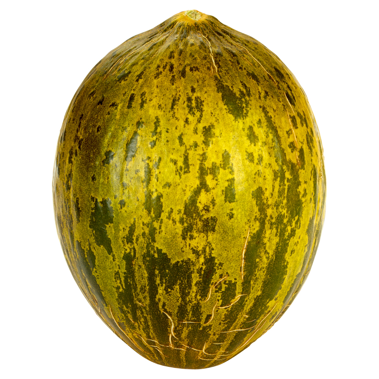 Melone Piel de Sapo