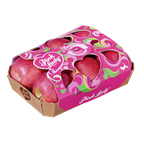 Äpfel Pink Lady 1kg