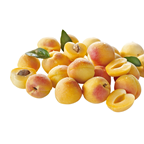 Aprikosen Spanien - 1 kg Schachtel
