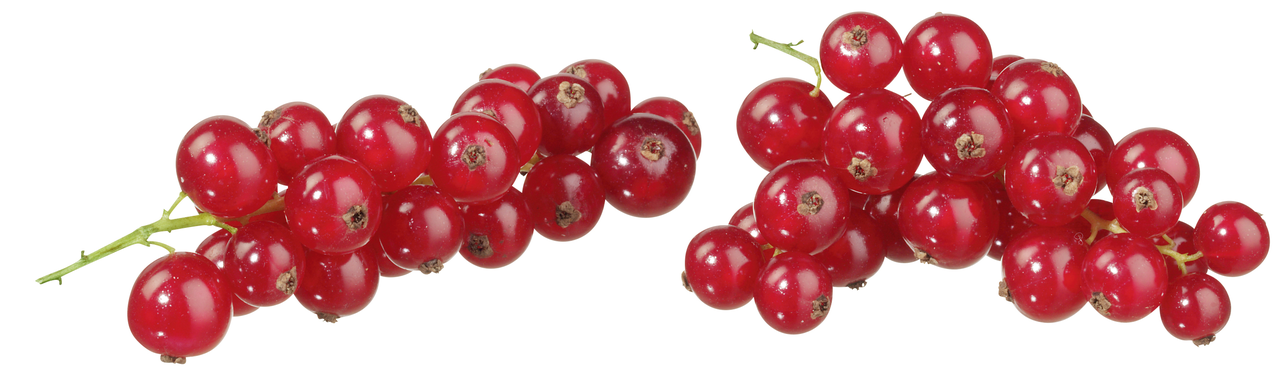 Johannisbeeren rot 125g