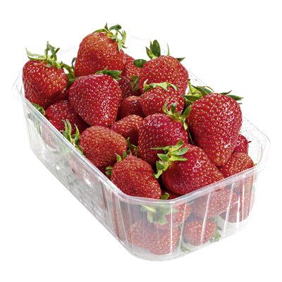Erdbeeren 500g