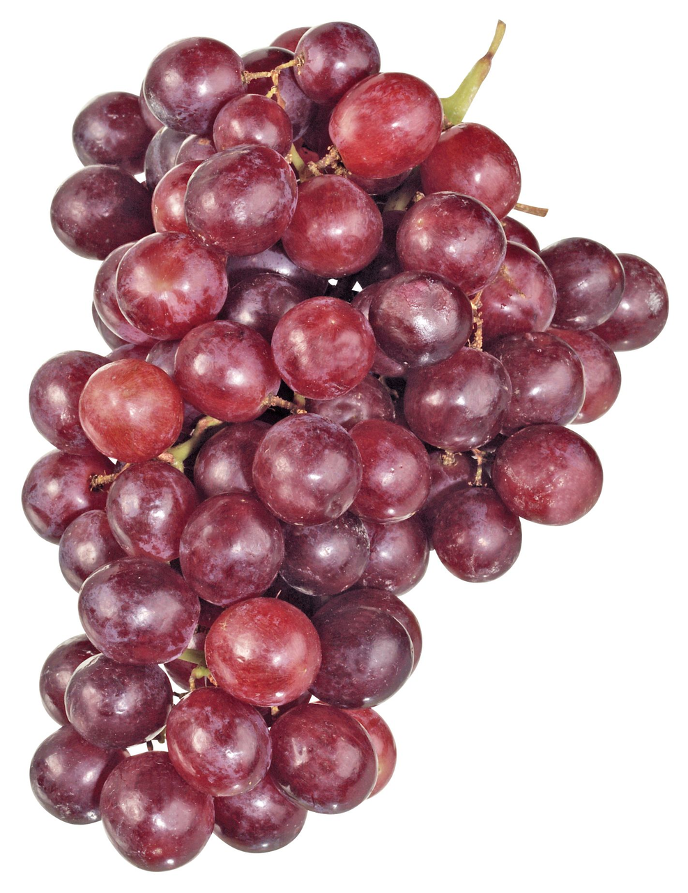 Trauben rot kernlos 500g