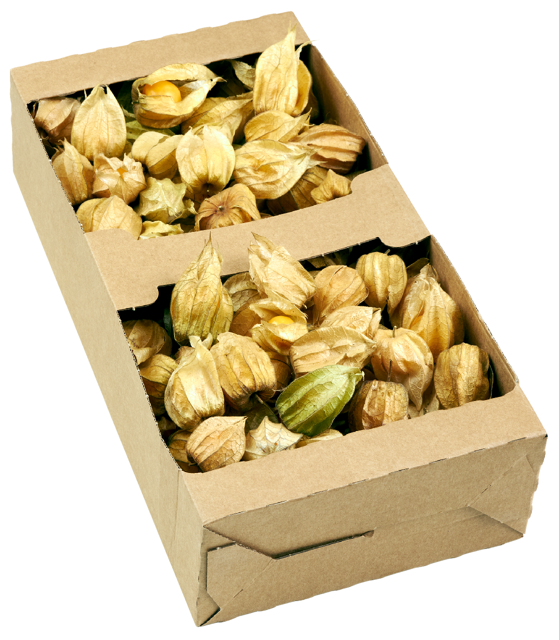 Physalis 800g