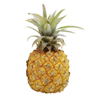 Ananas Baby Stück