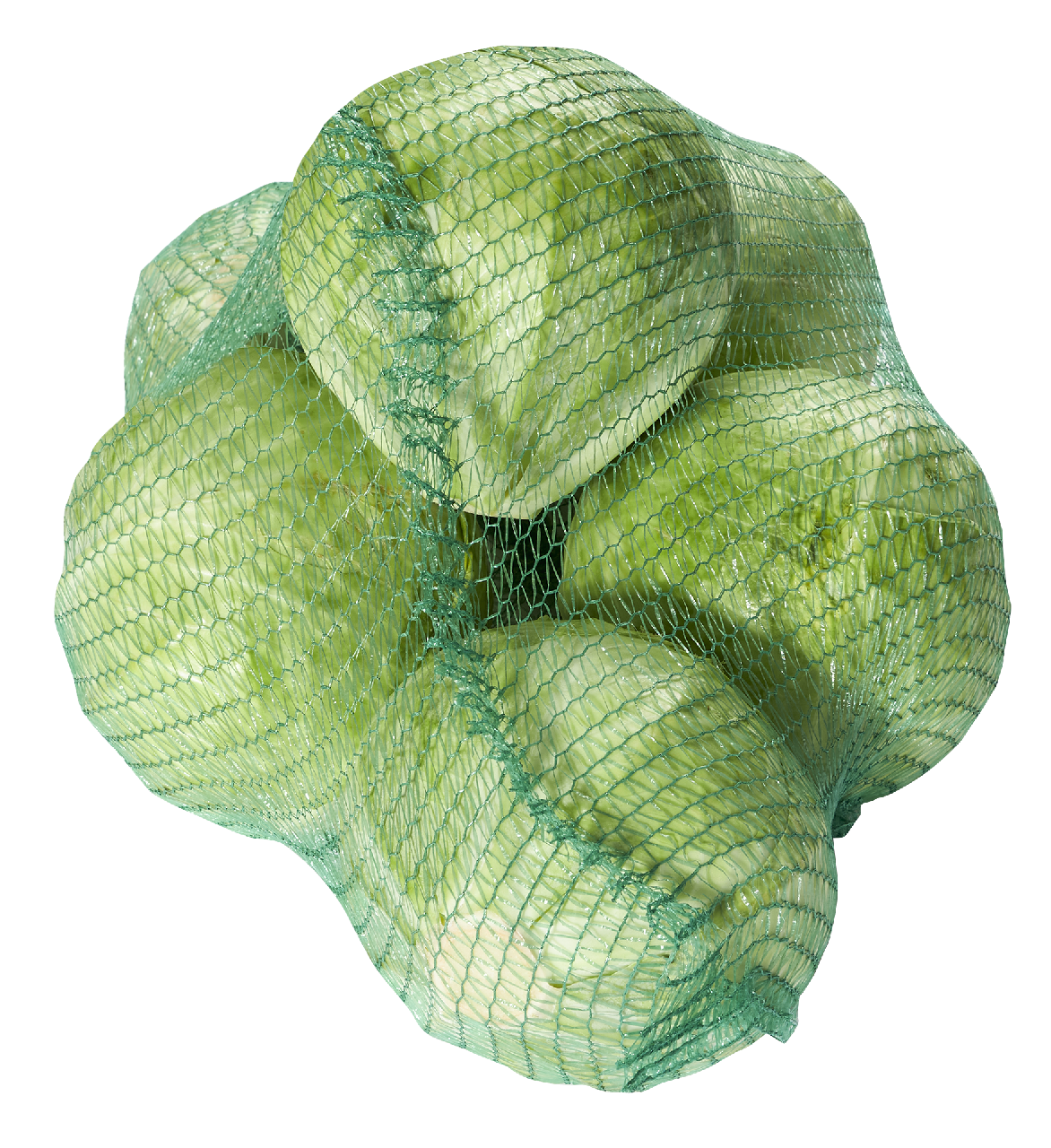 Weisskohl 10kg