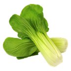 Mini Pak Choi Deutschland - 300 g Schale