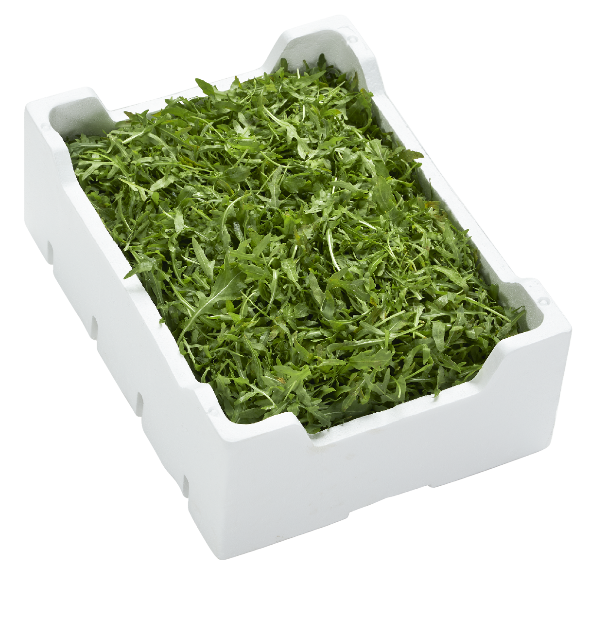 Rucola ungebündelt 1kg