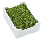 Rucola ungebündelt 1kg