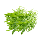 Rucola Italien - 150 g Schachtel
