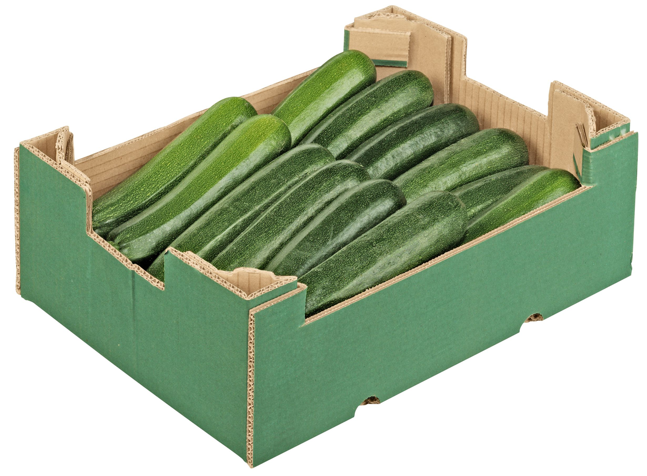 Zucchini 5kg