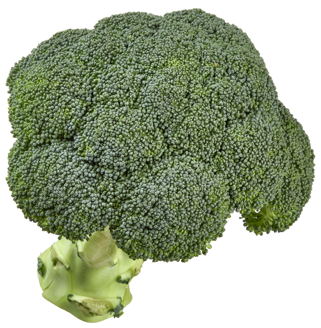 Broccoli 500g