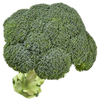 Broccoli 500g