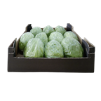 Eisbergsalat Kiste