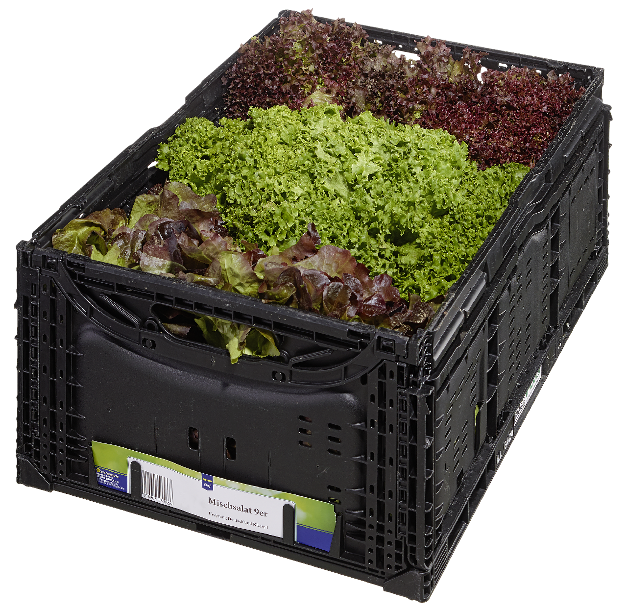 Salat mix Kiste