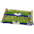 Rucola Salat 1kg gebündelt