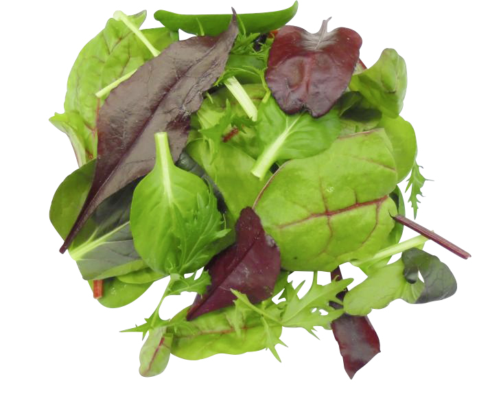 500g Wildkräutersalat