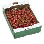 Cocktailrispentomaten 3kg