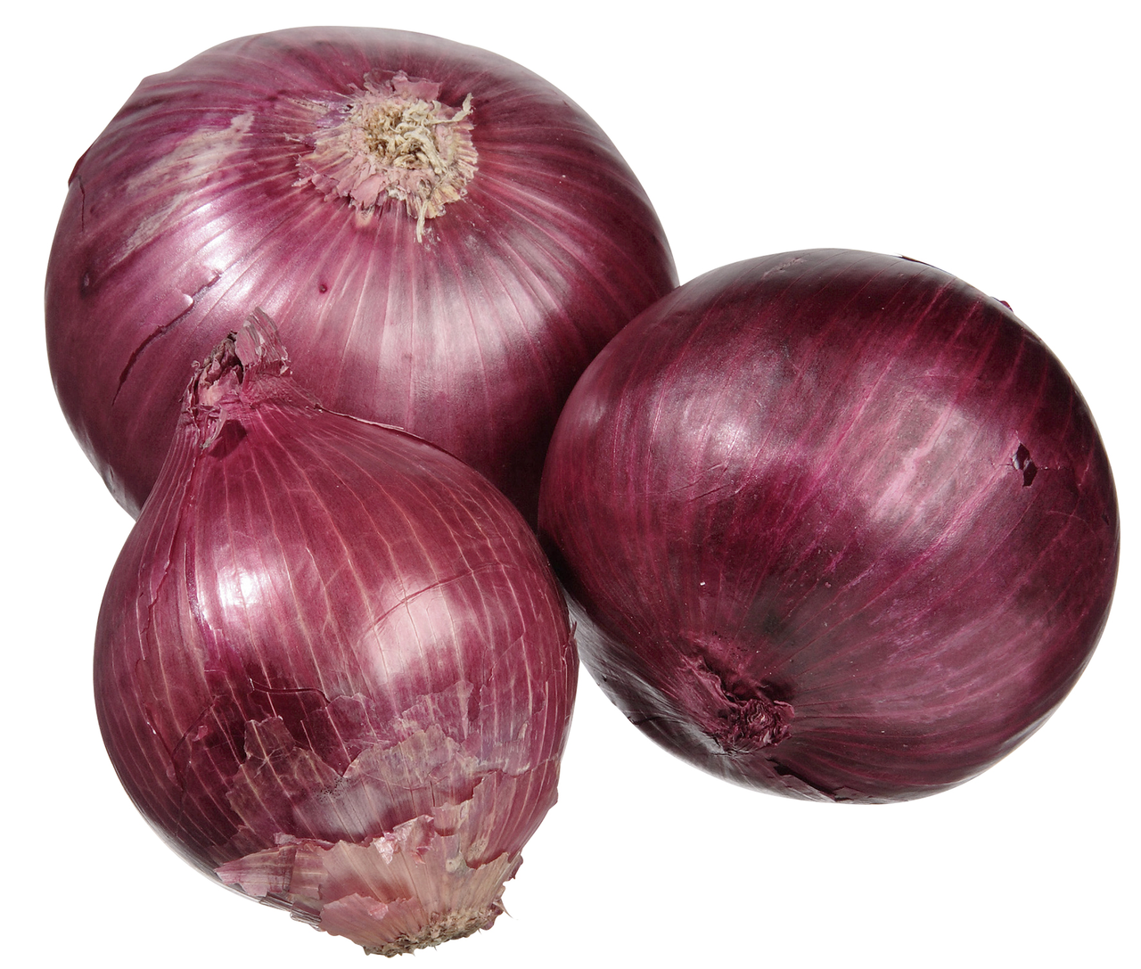 Zwiebeln rot groß 10kg