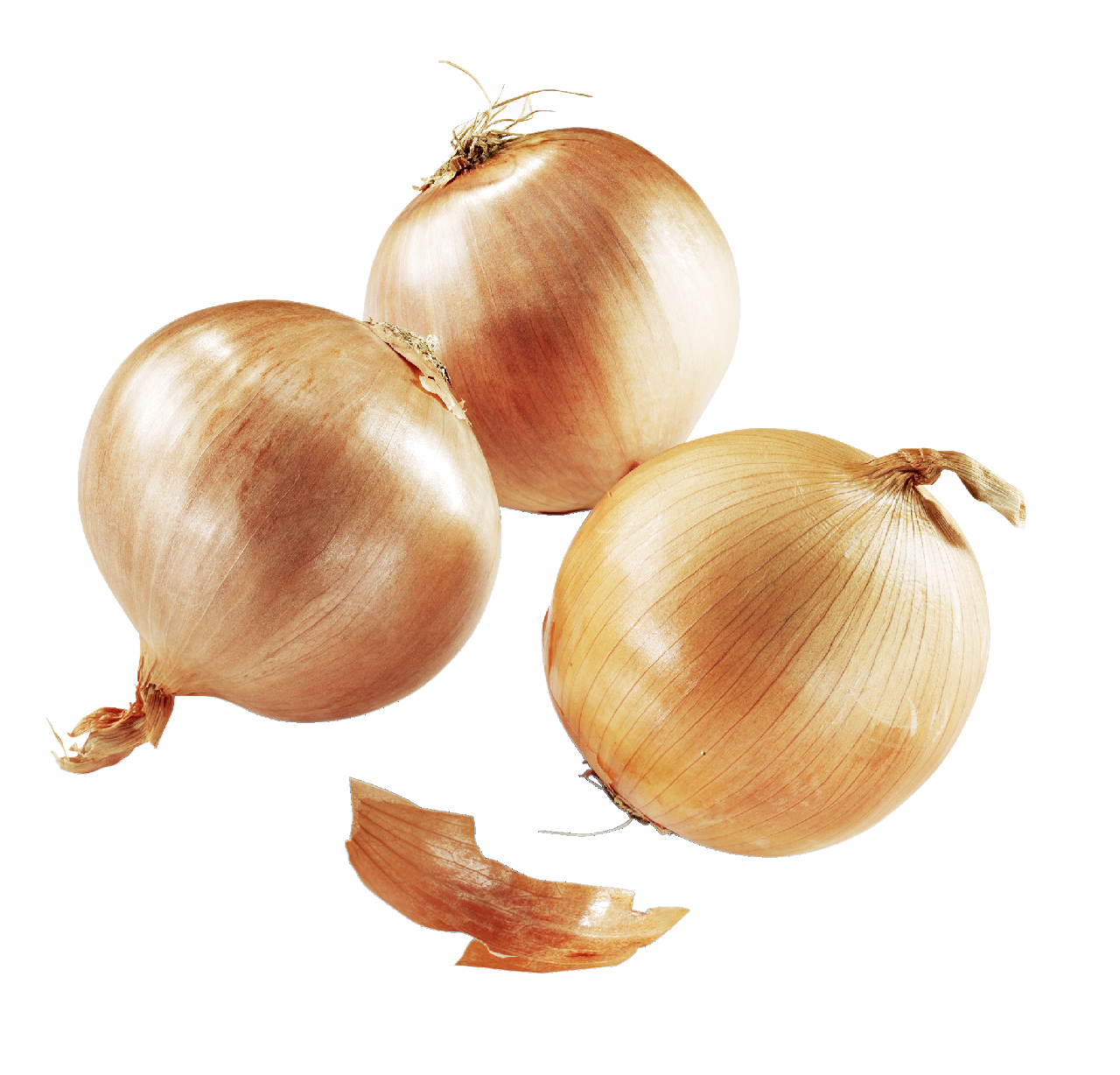 Gemüsezwiebel 10kg