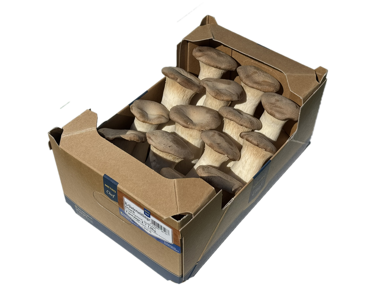 Kräuterseitlinge 1kg