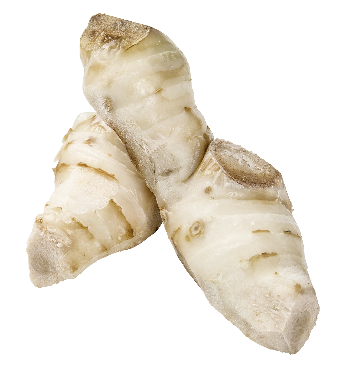 Galgant Wurzel Thailand - 500 g Schale