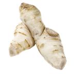 Galgant Wurzel Thailand - 500 g Stück