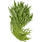 Wasserspinat Thailand - 500 g