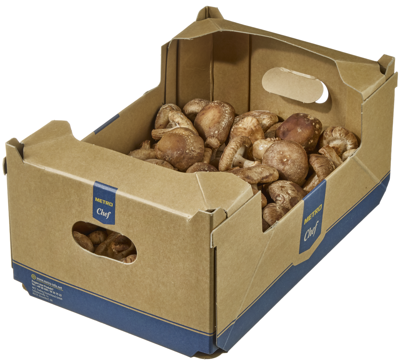 METRO Chef Shii-Take Pilze Ukraine - 1 kg Kiste