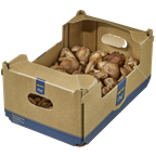 METRO Chef Shii-Take Pilze Ukraine - 1 kg Korb