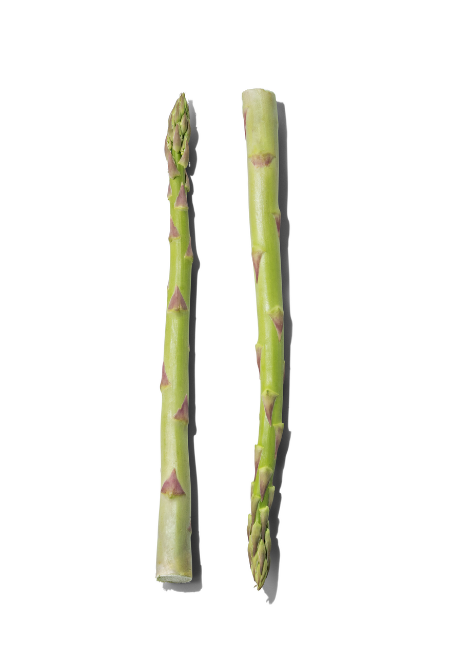 Wildspargel Frankreich - 1 kg Kiste