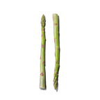 Wildspargel Frankreich - 1 kg Kiste