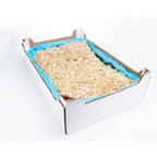 METRO Chef Mungobohnensprossen - 5 kg Packung auf Vorbestellung