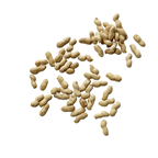 Erdnüsse Jumbo USA - 1 kg Sack