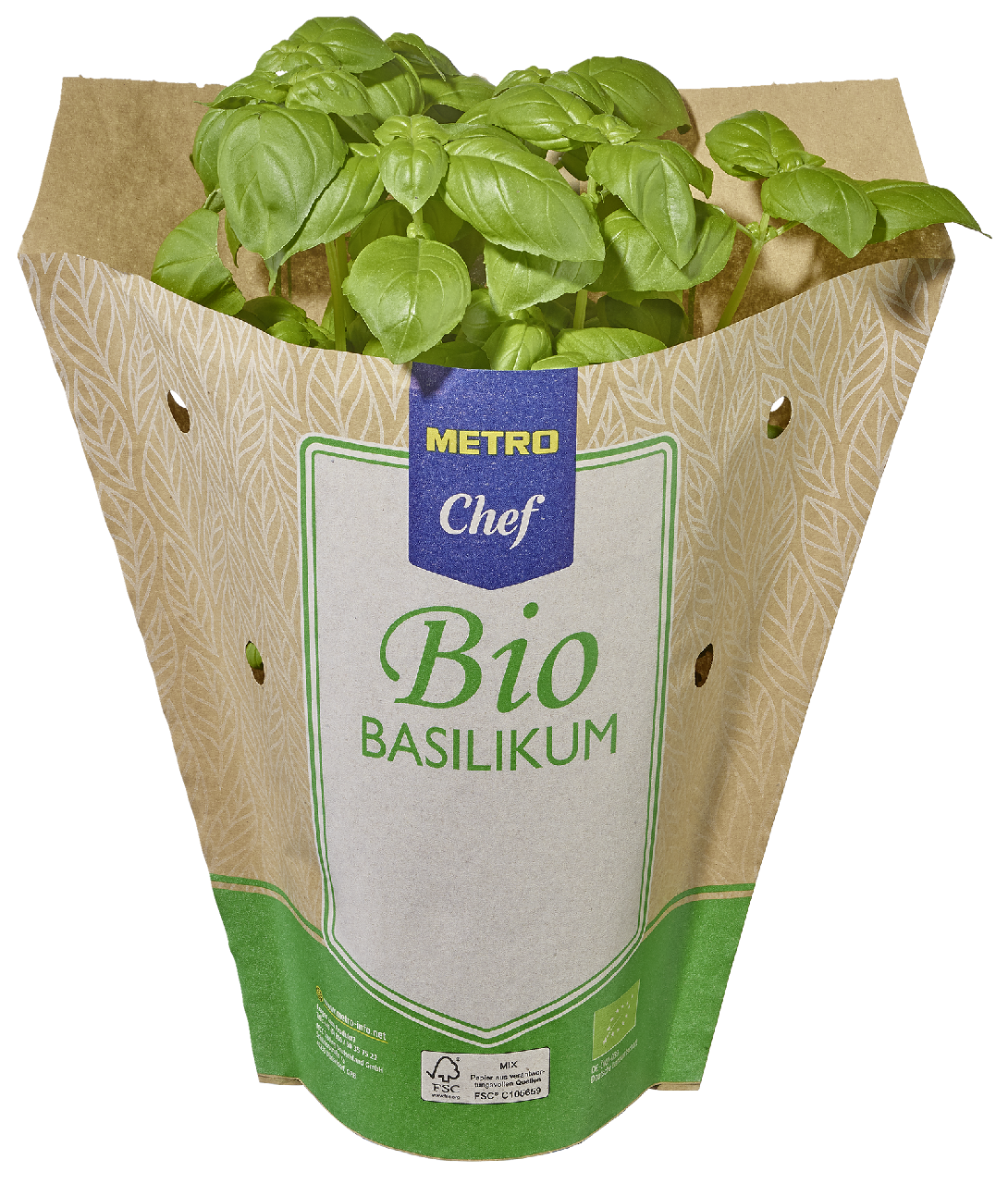 METRO Chef Bio Basilikum Deutschland 13 cm Topf - 200 g Topf