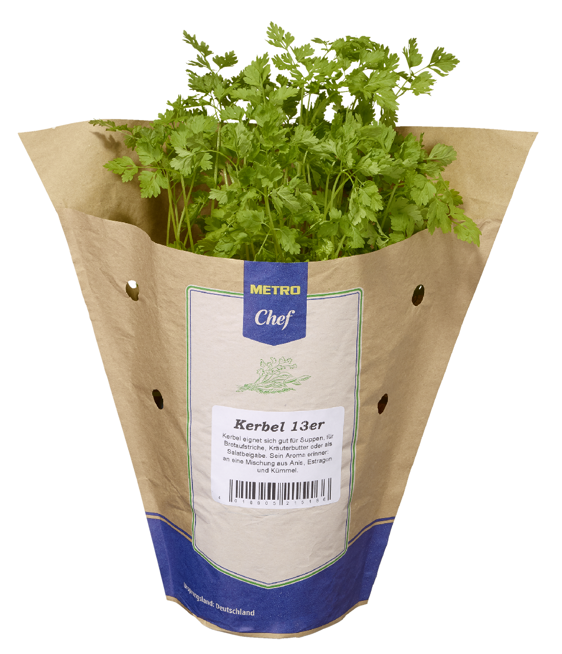 METRO Chef Bio Kerbel Deutschland 13 cm Topf