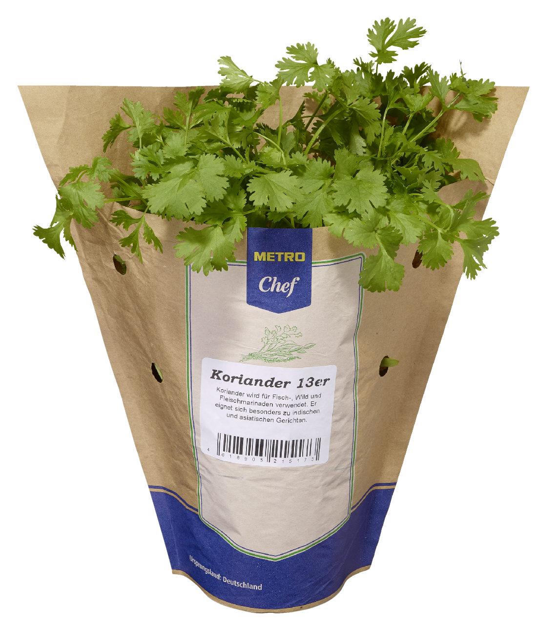 METRO Chef Bio Koriander Deutschland 13 cm Topf