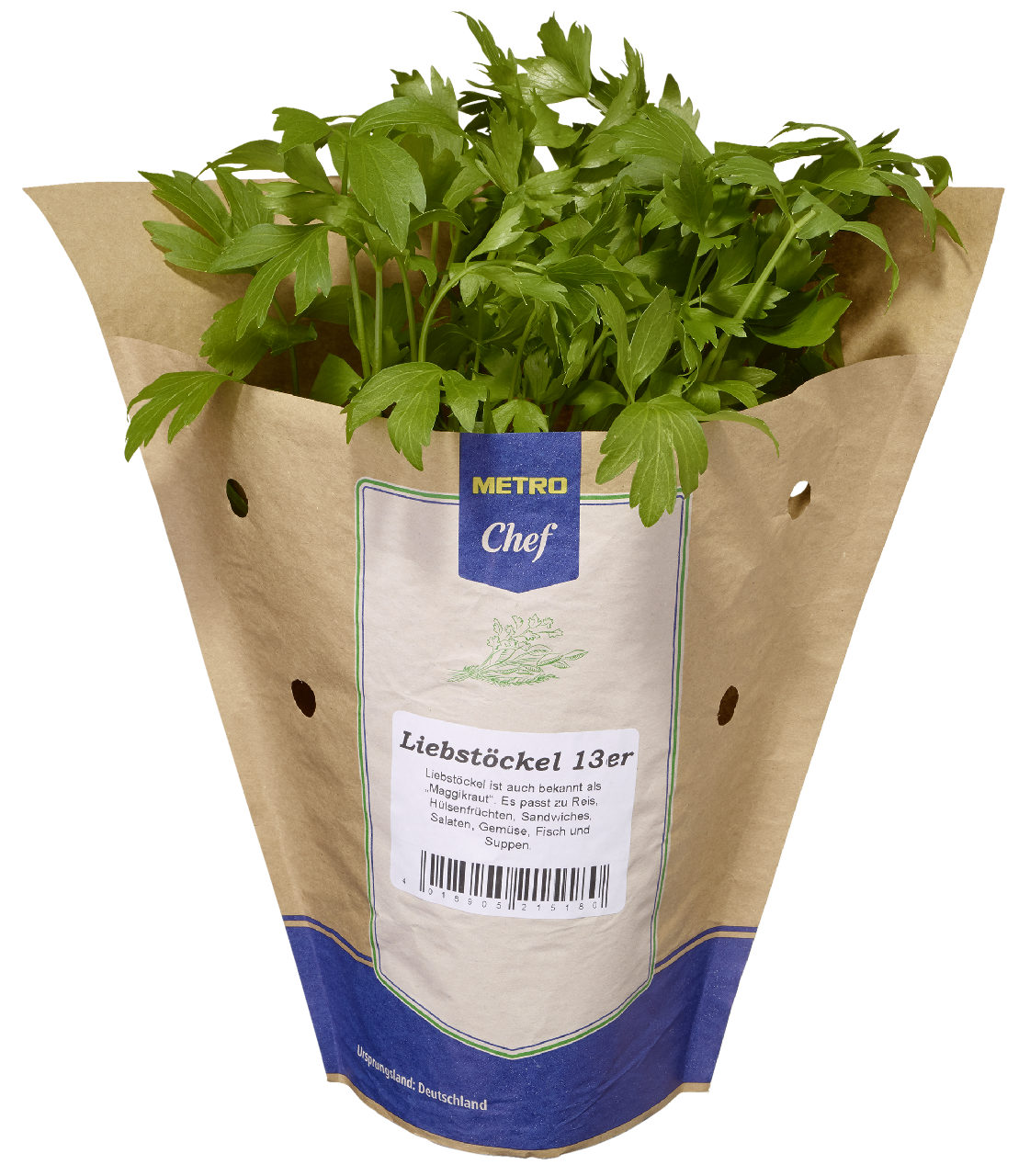 METRO Chef Bio Liebstöckel Deutschland 13 cm Topf