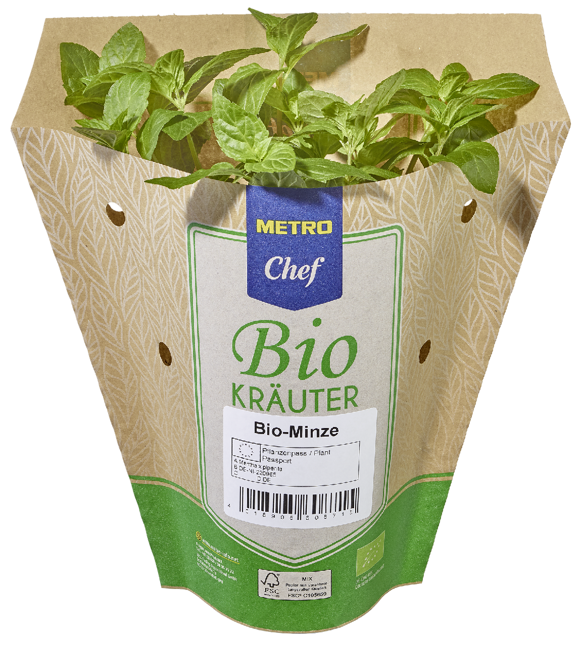 METRO Chef Bio Minze Deutschland 13 cm Topf