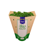 METRO Chef Bio Petersilie kraus Deutschland 13 cm Topf
