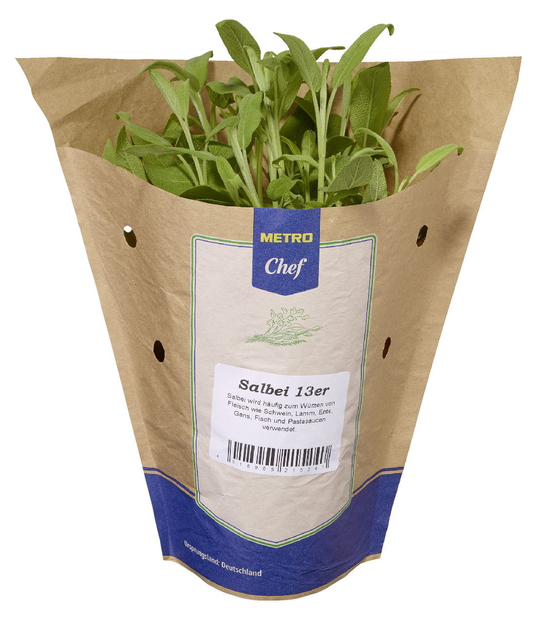 METRO Chef Bio Salbei Deutschland 13 cm Topf