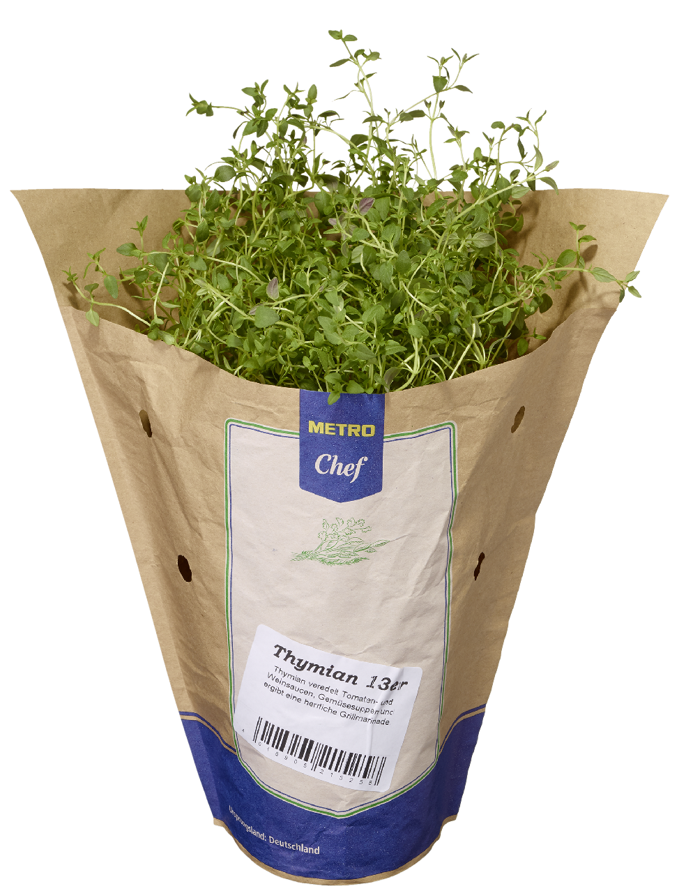 METRO Chef Bio Thymian Deutschland 13 cm Topf