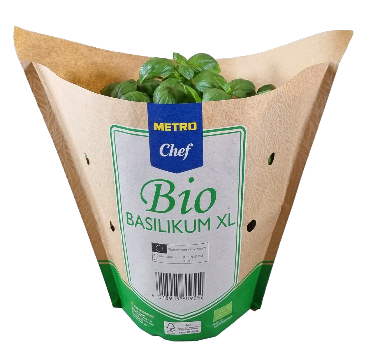 METRO Chef Bio Basilikum XL Deutschland 15 cm Topf