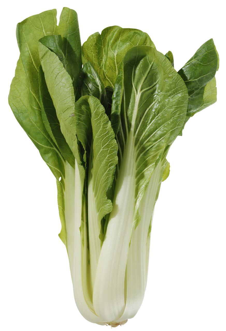 Pak Choi 5 kg