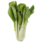 Pak Choi 5 kg