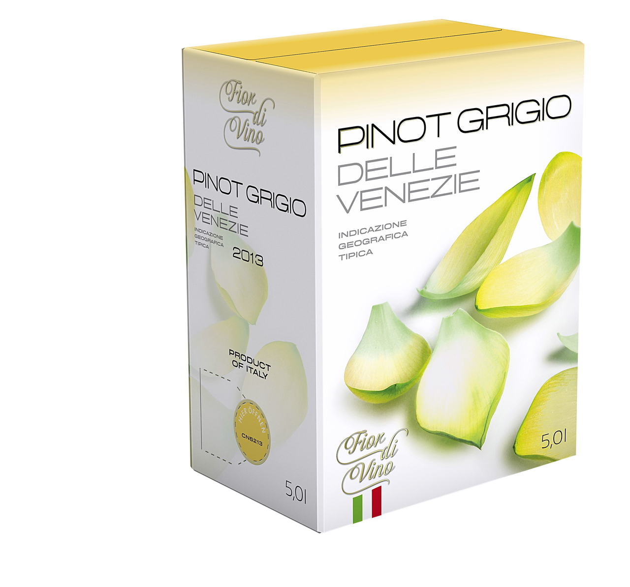 Ca' Ernesto Bag In Box Pinot Grigio Delle Venezie IGT Weißwein trocken - 5,00 l Packung