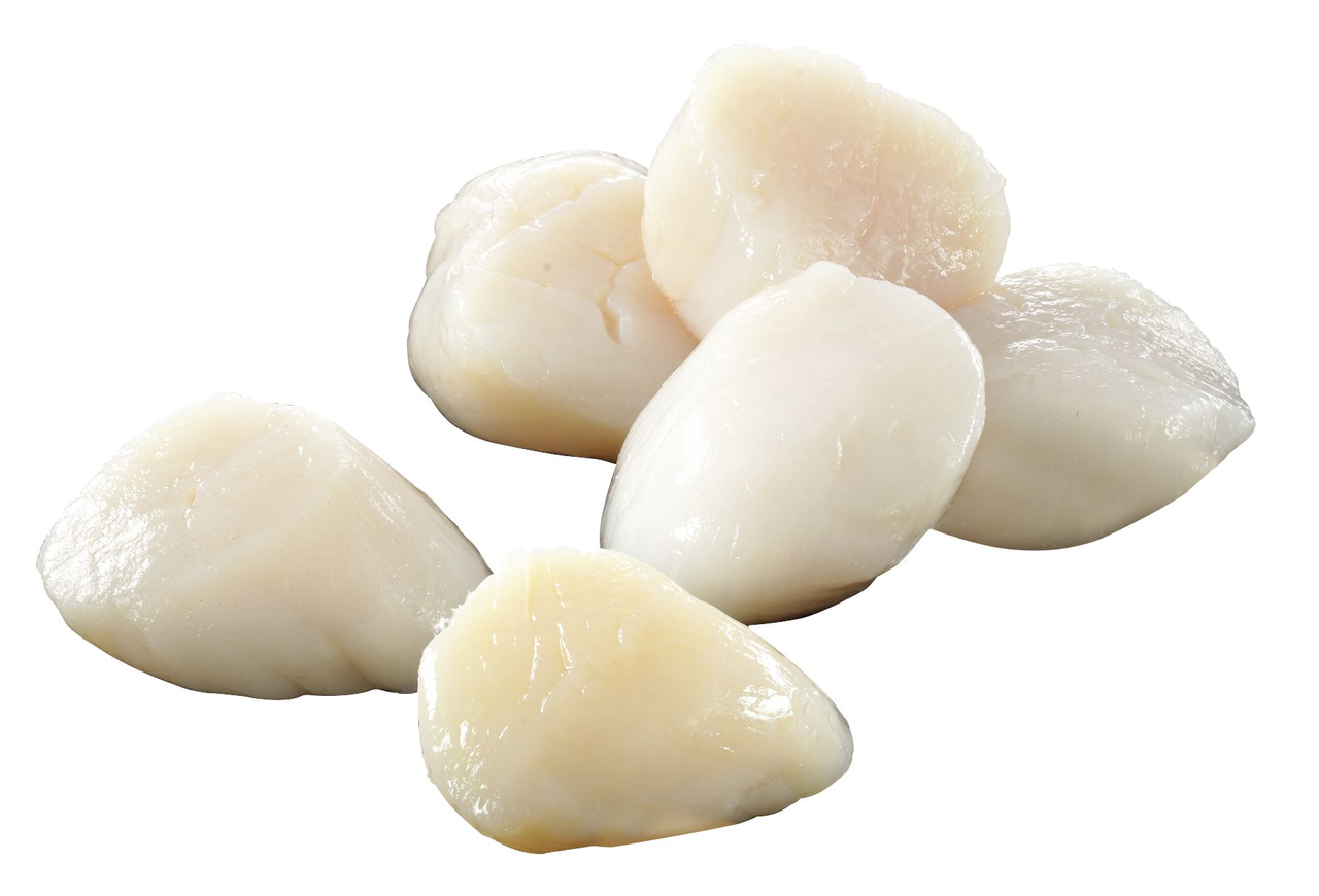 MSC Kammmuschelfleisch - je kg
