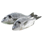 Dorade Royal ausgenommen mit Kopf Aquakultur ca. 400 - 600 g - je kg
