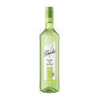 Blanchet Blanc de Blancs französischer halbtrockener Weißwein, ca. 11 % Vol. 0,75 l Flasche