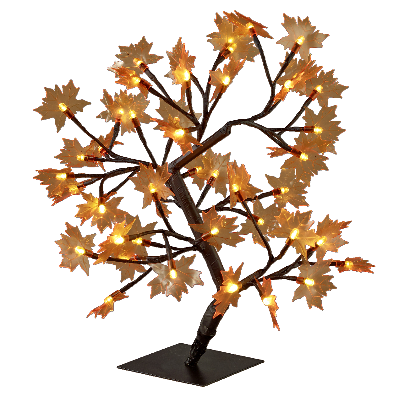 Tarrington house 891048a